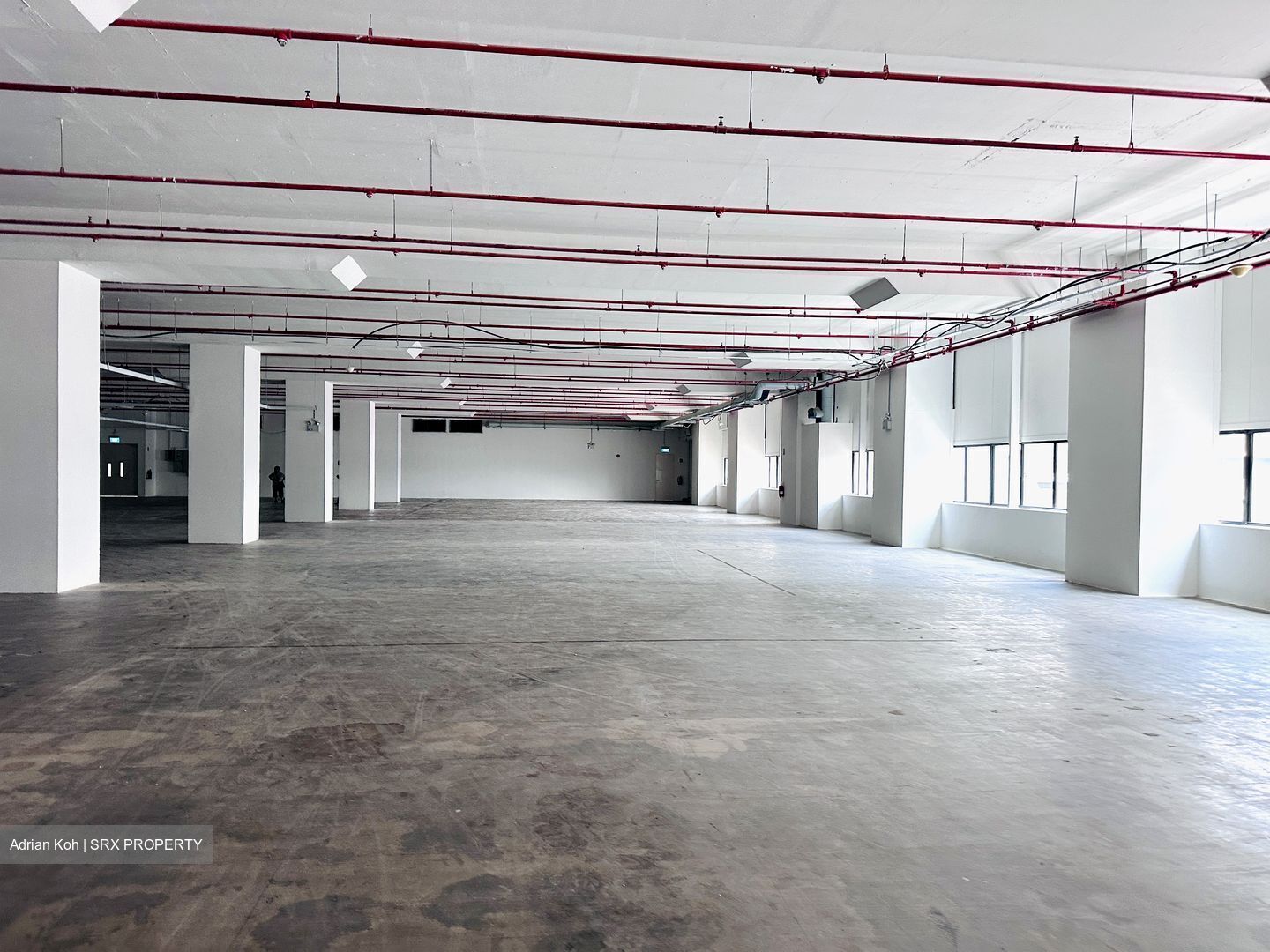 Serangoon North Avenue 5 (D19), Factory #449684981